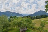 Apartment - Erdgeschoss