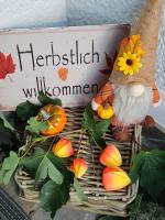Ferienwohnung Elya, privater Garten, ruhige Lage, Outlet - Ferienwohnung Bad Münstereifel