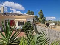 Casa Anna Rancho Pancho - B&B Alhaurín el Grande