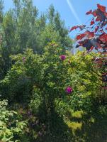 Inner Peace Retreat - Relax Unwind - B&B Channel-Port aux Basques