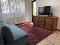 Renting Solutions Deluxe - Ferienwohnung Iaşi