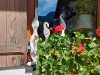 Gartenwohnung Ritter - B&B Kitzbühel