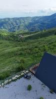 Dream view of Apuseni - Bed and Breakfast Râmeţ