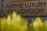 Alpine Luxury on London - B&B Queenstown