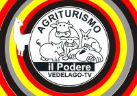 Agriturismo il Podere Vedelago con San Bernardo, Alpaca e una Pentola di cose da scoprire - Bed and Breakfast Vedelago