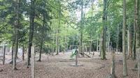 Ruhiges Premium-Appartement im Schwarzwald - B&B Bad Wildbad