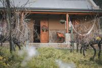 Vogelsang Farm Cottage - B&B Oudtshoorn