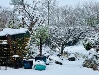 Cozy Rooms near DTU & Lyngby - Chambres d'hôtes Gladsaxe