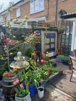 Gest Room - Bed and Breakfast Mitcham