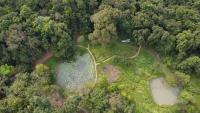 Back of Beyond - Wild Haven - B&B Sigiriya