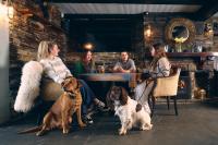 Port William Inn - B&B Tintagel