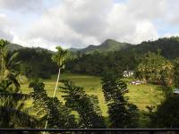 Rainforest Border Edge - Bed and Breakfast Deniyaya