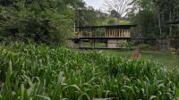 Sati Wellness Kandy Sri Lanka - B&B Kandy