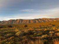 Dassiekrans Guesthouse - Shama Lodge - B&B Steytlerville