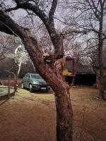Chip n Debs Kruger Vacations - B&B Marloth Park