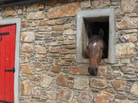 Robins Rest at The Lodge - Ferienwohnung Kilmacthomas