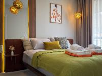 One-Bedroom Deluxe Apartment