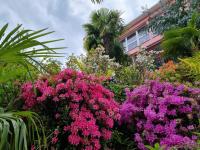 Residence Venus Garden - Chambres d'hôtes Brissago