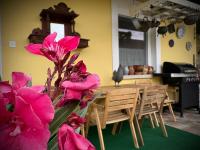 Vadvirág Apartman - Chambres d'hôtes Hortobágy