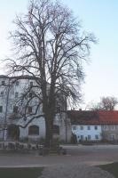 BurgVier Suite in der Burg - B&B Tittmoning