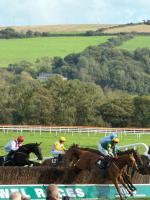 Winterwood - Ferienwohnung Listowel