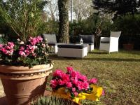 B&B Tirrenia - Splash House - Bed and Breakfast Tirrenia