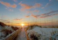 Turtles Nest - Close to Downtown & Beaches - King Bed - Boat Parking - NO Pet Fees ! - Chambres d'hôtes Port Saint Joe