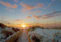 Pelicans Post- Close to Downtown & Beaches - King Bed - Boat Parking - NO Pet Fees ! - B&B Port Saint Joe