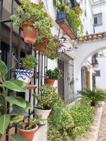 Nueva Córdoba Judería - B&B Córdoba