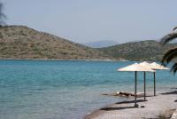 Thalassia