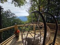 Authentic, Rustic, Cute & Cozy! - Bed and Breakfast Pigeon Forge