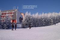 Little Mountain Apartment - Heart of Jeseníky, Ramzová - B&B Ostružná