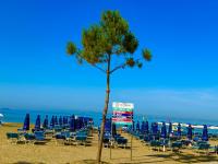 Peace Apartments - B&B Durrës