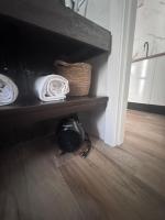 Apartamentos turísticos El Camionero - Ferienwohnung Burguillos del Cerro