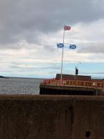 Ellas cottage - B&B Eyemouth