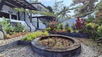Jungle Edie Budget Hostel AC - B&B Bukit Lewang
