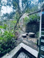Misty wood - B&B Thekkady