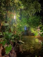 Art house hiriketiya - B&B Horagoda