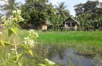 Lake Cabin - Bed and Breakfast Polonnaruwa