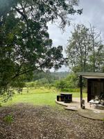 Soul Forest Cabin Nature Retreat with Hot Tub - B&B Sedgefield