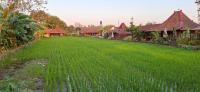 Alamanda Villas, Family Villas, Pool & Local Tours - B&B Yogyakarta