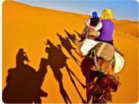 Desert Camel Trekking Camp - Bed and Breakfast Merzouga