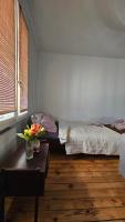 Central Niš Apartment Parking & Wi-Fi - Ferienwohnung Niš