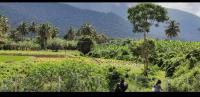Rini farms - B&B Paramanandal