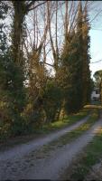 La quiete del bosco di Geggiano, Siena - B&B Castelnuovo Berardenga