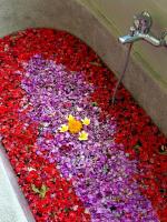 Alam Happy Two Bedrooms Private Pool Villa Ubud - B&B Ubud