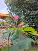 Apartment mit 2 Schlafzimmern mit Balkon und Terrasse