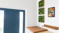 Stea Home Noto a 180 Mt dal centro - B&B Noto