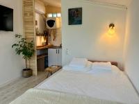 City Escape Garden Room 20 km from Bucharest - B&B Grădinari