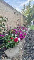 Cozy Modern Suite Outdoor Lounge Access - B&B Manteca